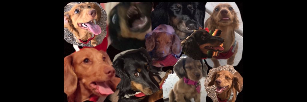 addy_ngu's profile banner image