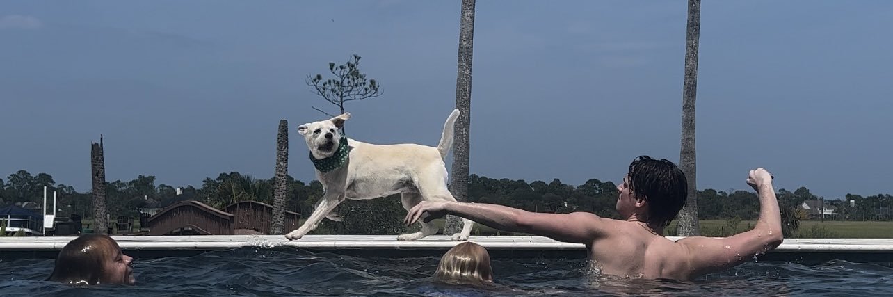 Carson New banner