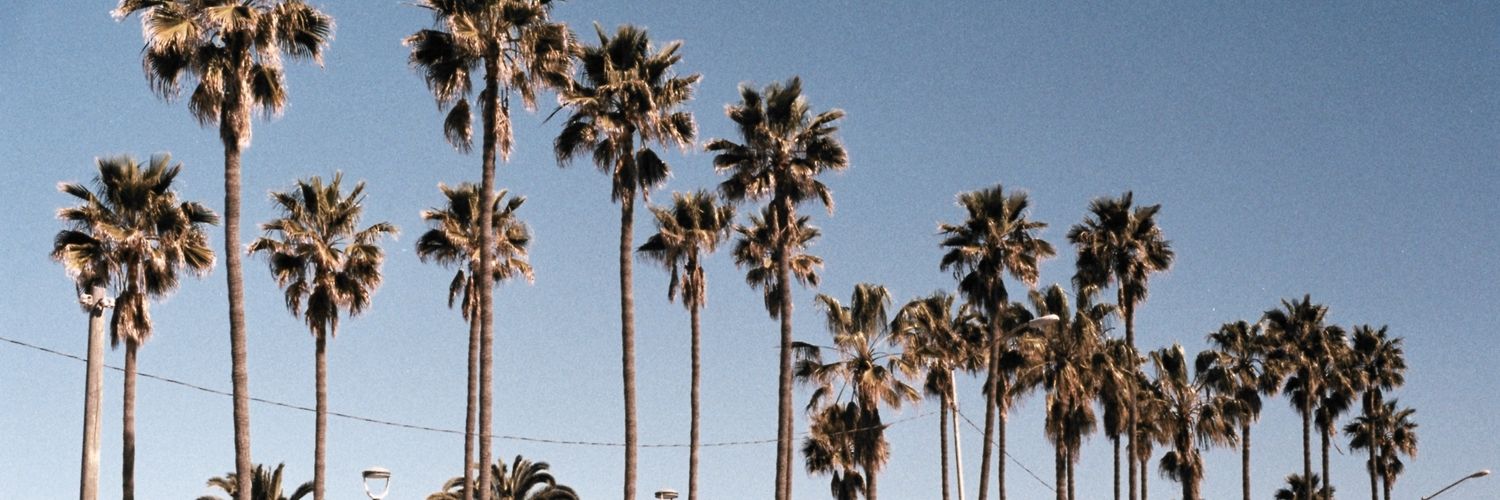 gfmanriquez's profile banner image