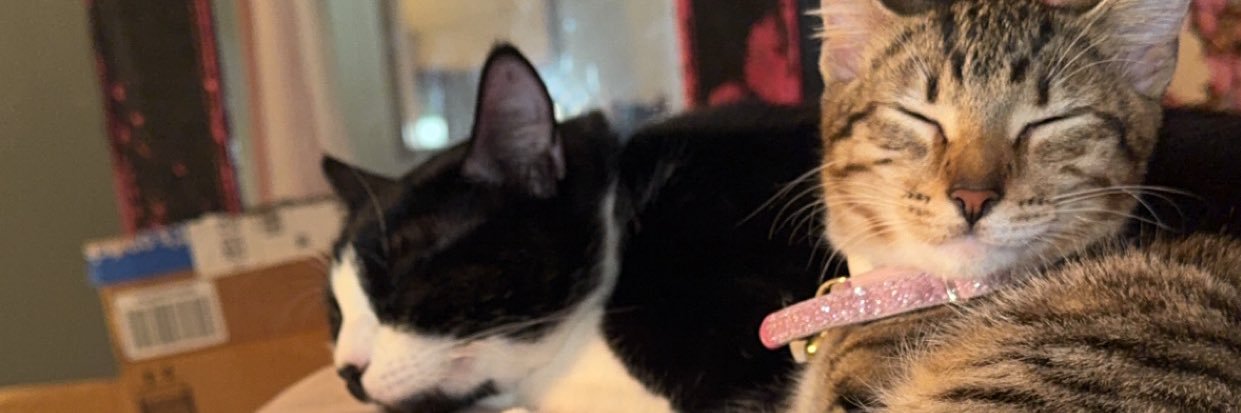 miaashanteey's profile banner image
