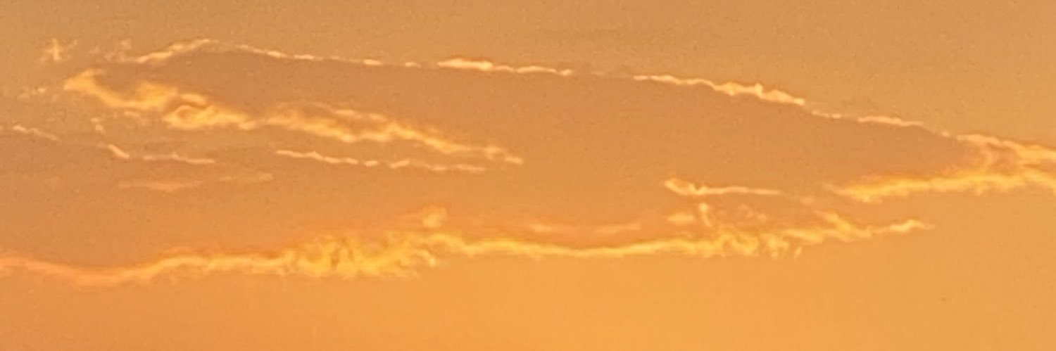 msyhlnd's profile banner image