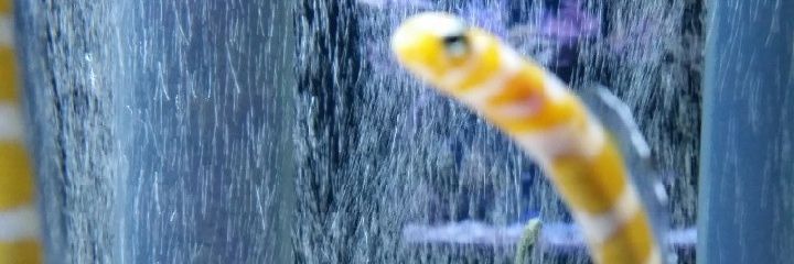 xerd_3113's profile banner image