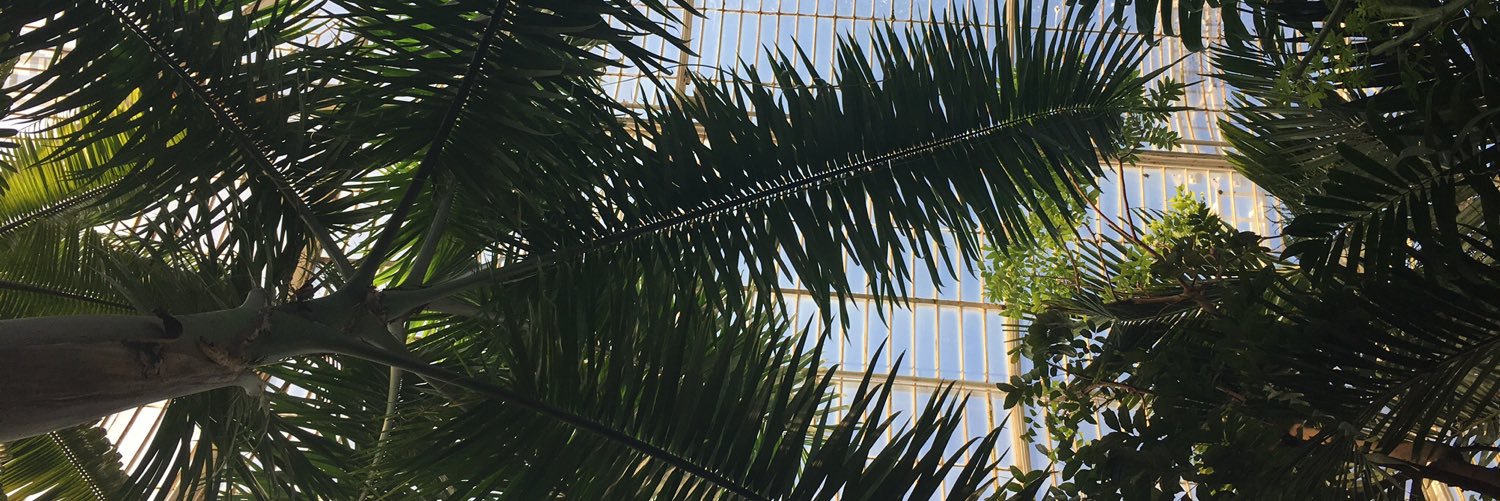 pl3579's profile banner image