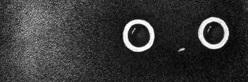 kc_nm45's profile banner image