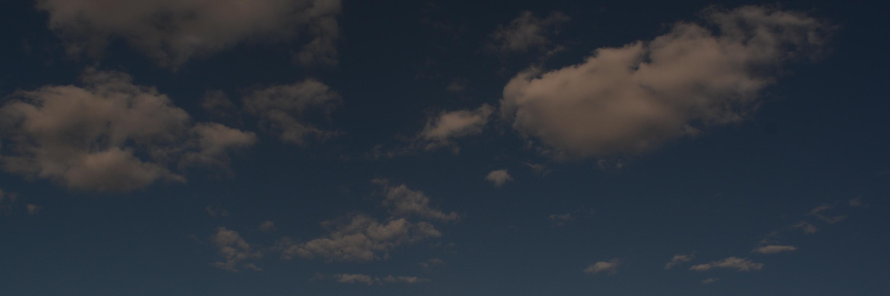 MScatolero's profile banner image
