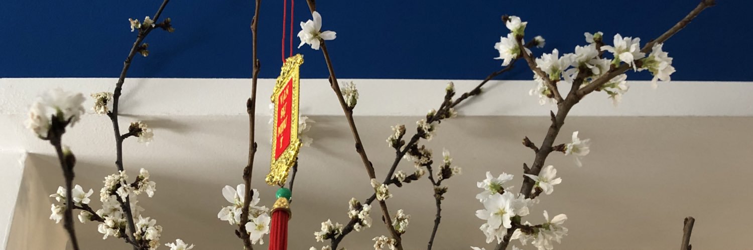 булочка бао banner