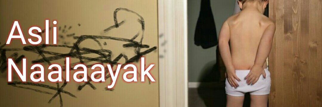 naalaayak's profile banner image