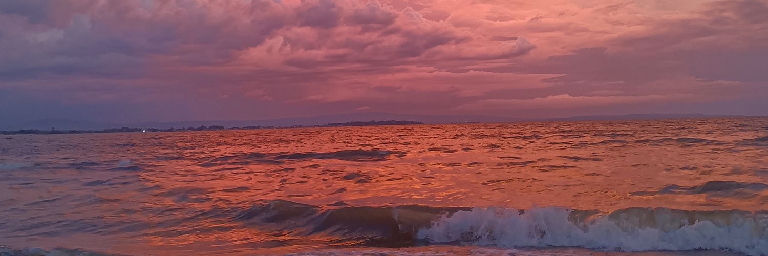 theytyco's profile banner image