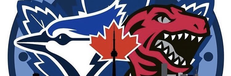 🇨🇦🌴Vixen🌴🇨🇦 banner