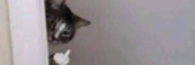 Didibrox's profile banner image