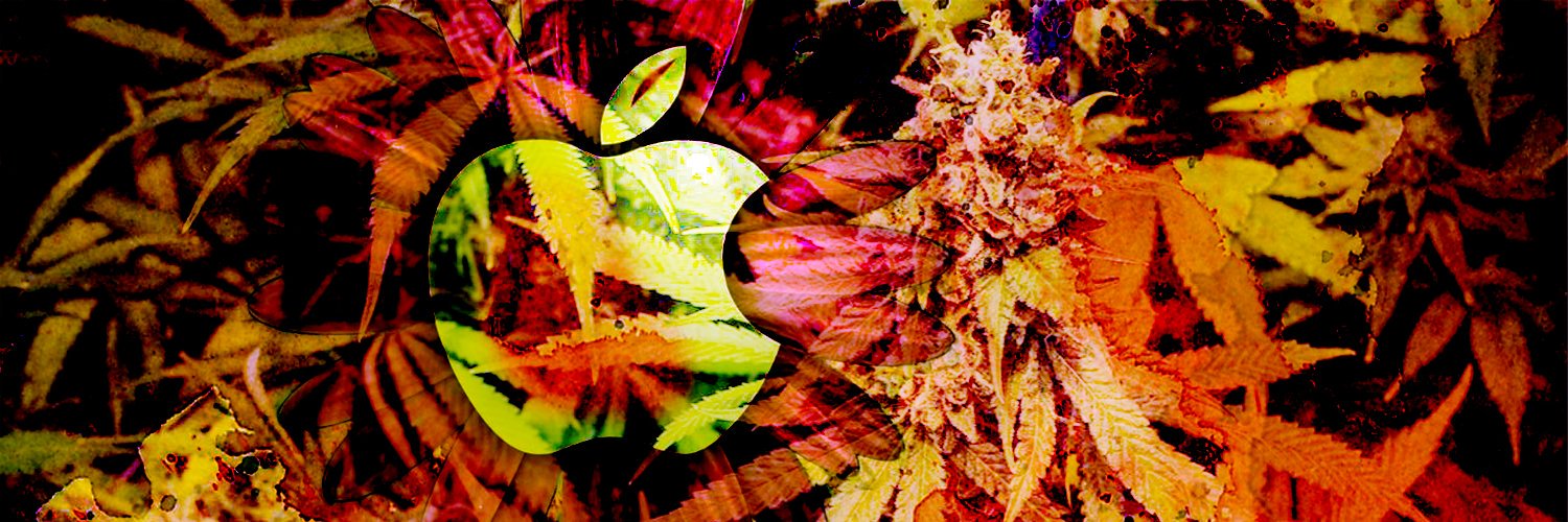 _ZoeDesigns's profile banner image