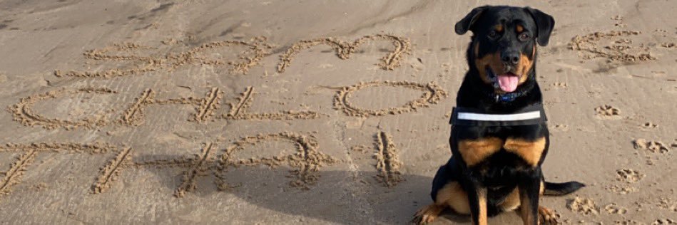 chlo_nicholson's profile banner image