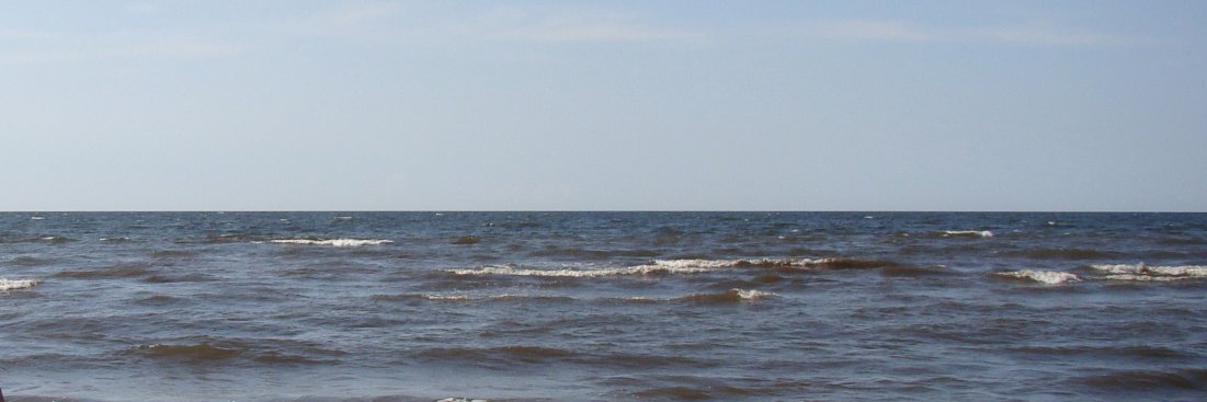 Rudīte Martišauska banner