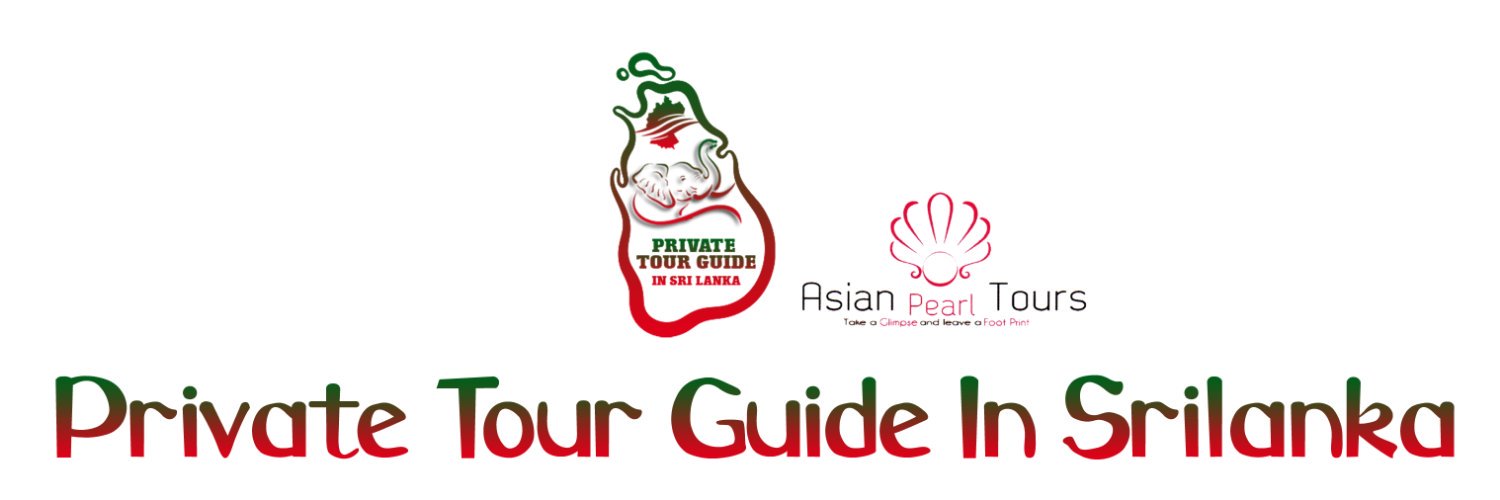 asianpearltours's profile banner image