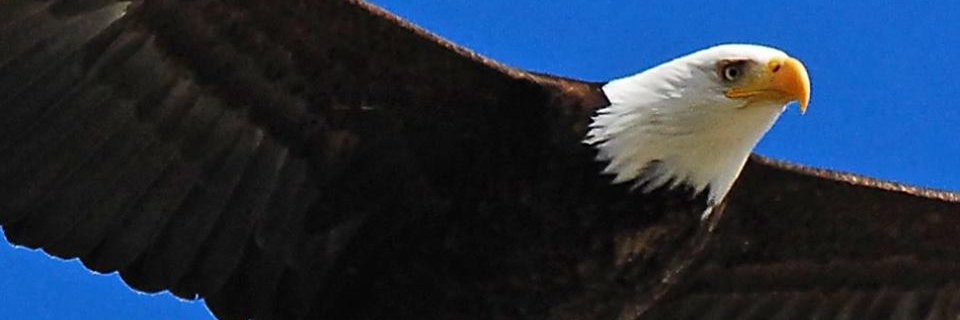 BAHGATBOLA's profile banner image