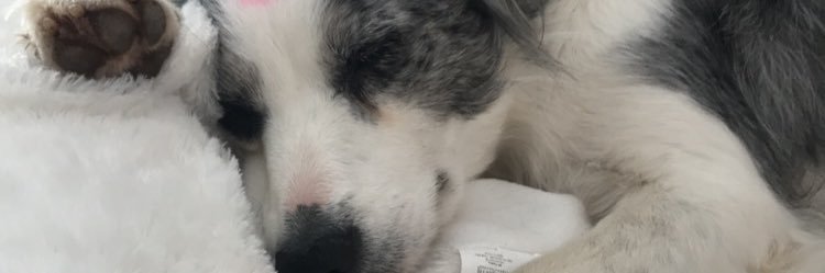 lisadf71's profile banner image