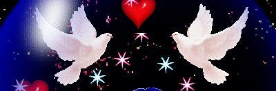 JoytinR's profile banner image