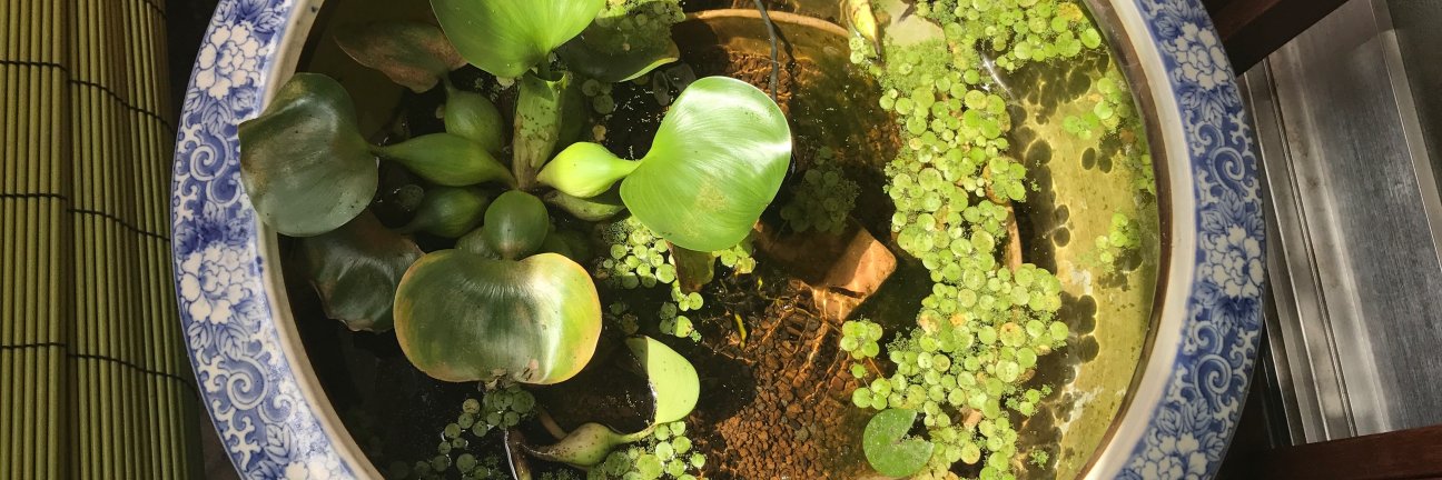 マルボロ＠石原さとみとあやみ推し✧✪ banner