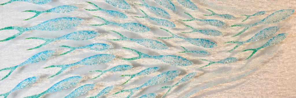 Mayne Gallery banner