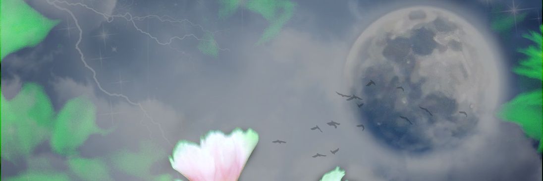 amameloco97's profile banner image