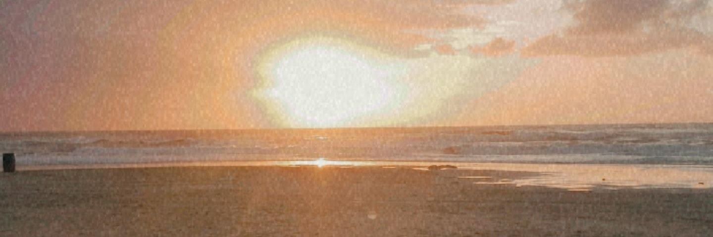 pedropsy2003's profile banner image