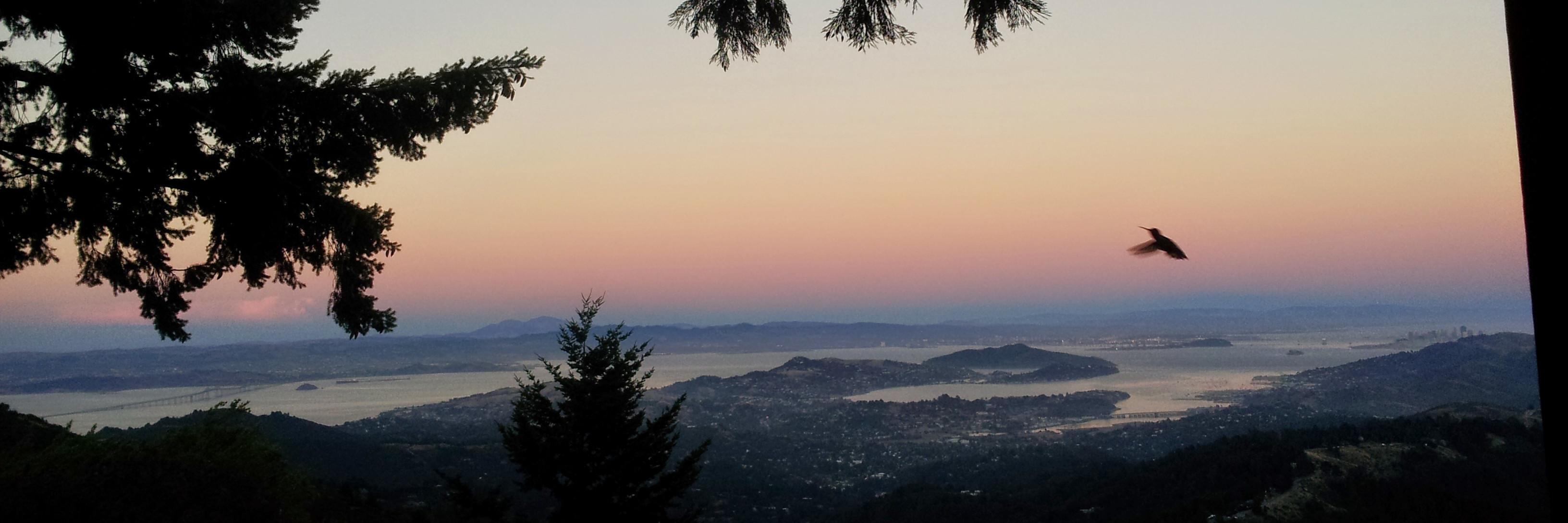 EnvironmentCali's profile banner image