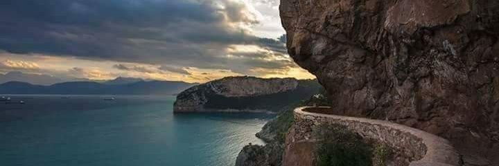 yanis banner