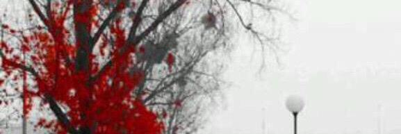 _AAAMAS's profile banner image