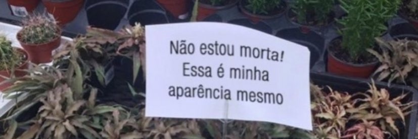 laris 🌙 banner