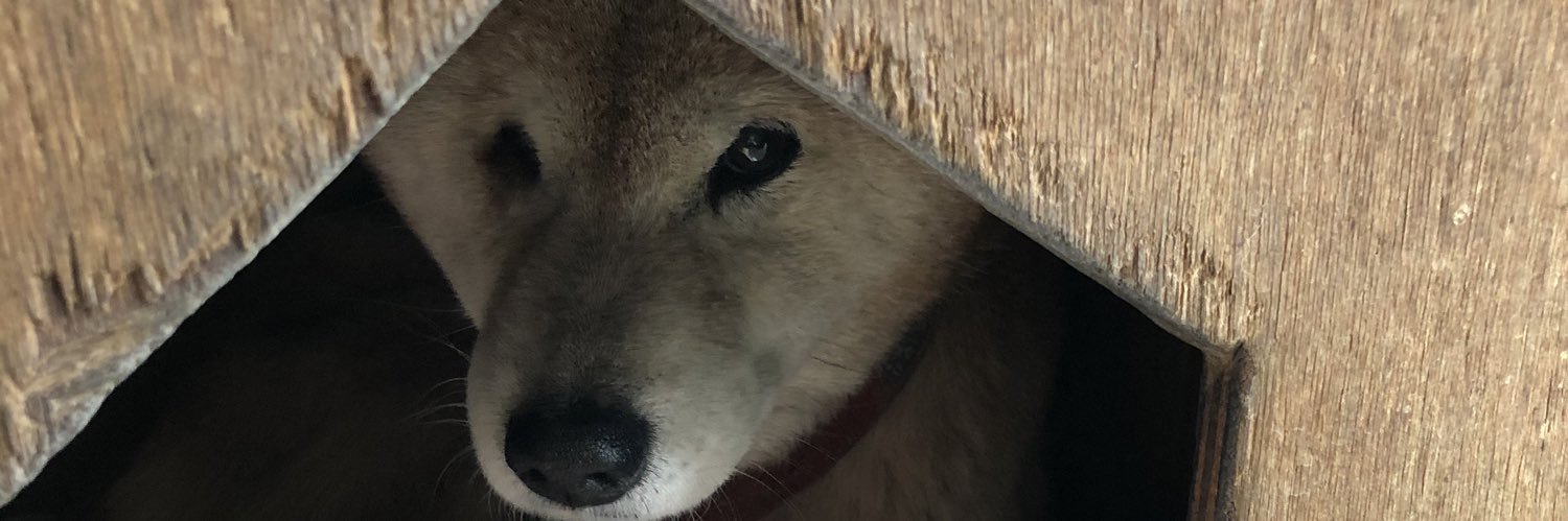SuzuEmu's profile banner image