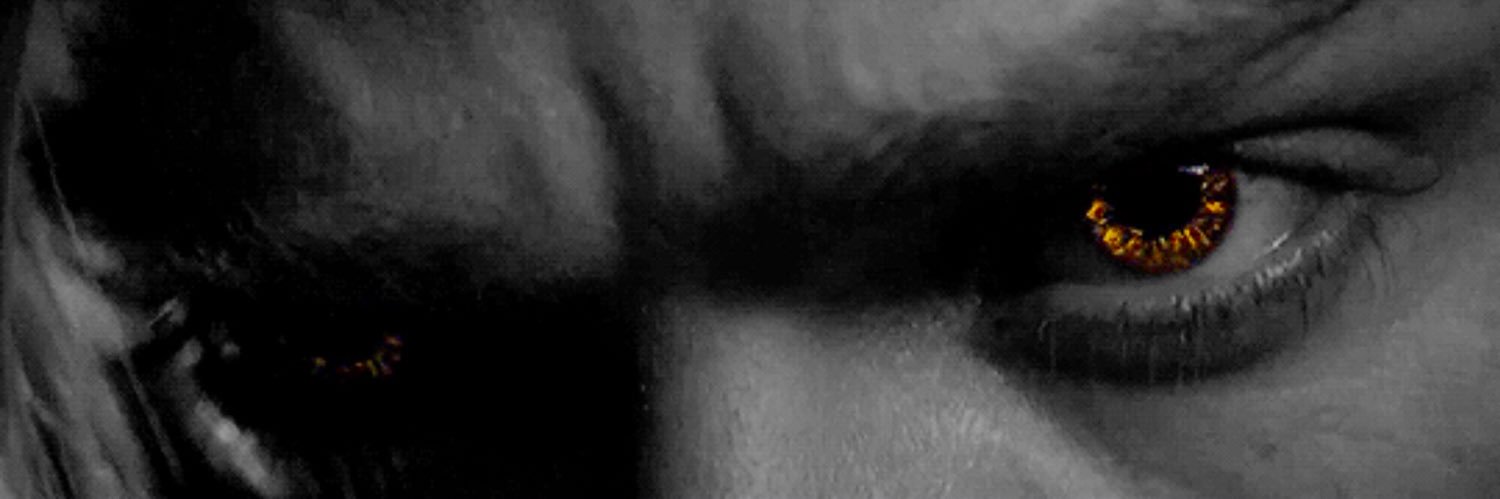 luanephilim's profile banner image