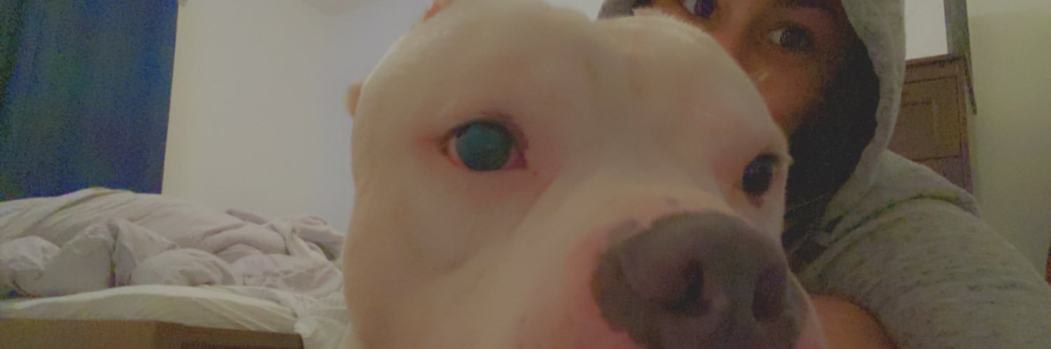 Lexi_roseeee's profile banner image