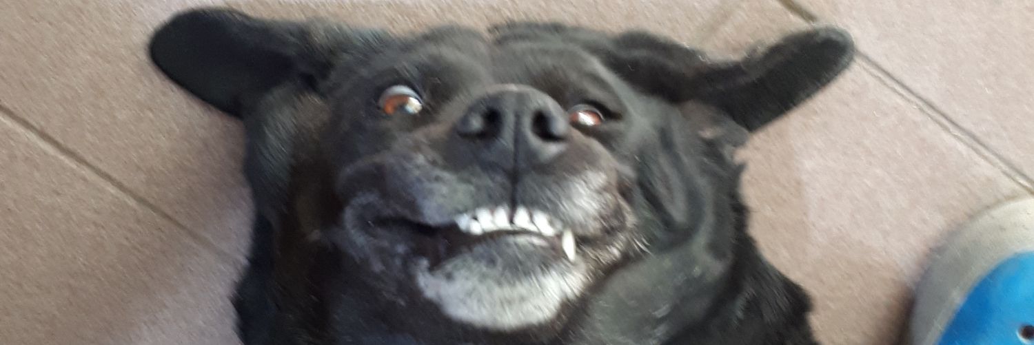 Shefri_01's profile banner image
