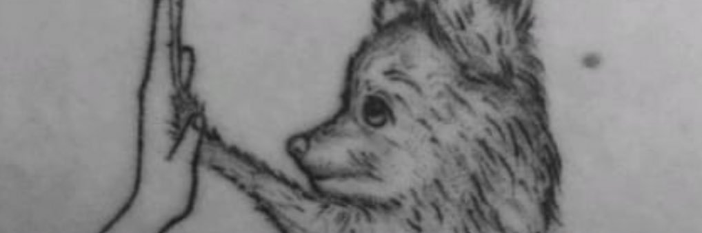 kevinduato's profile banner image