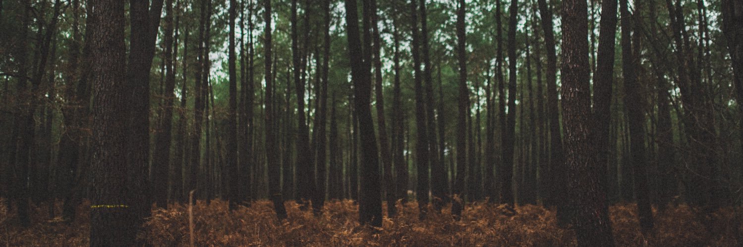 Thegrenademan's profile banner image