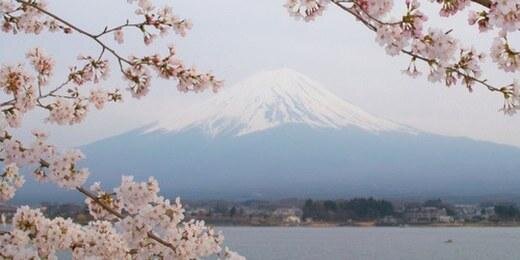 ReIiable Tweets banner