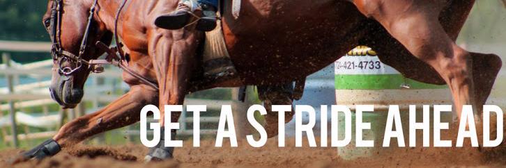 STRIDED_'s profile banner image