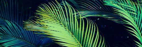 fwaqa's profile banner image