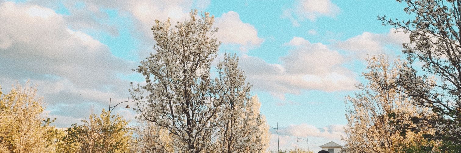 bitterintronerd's profile banner image