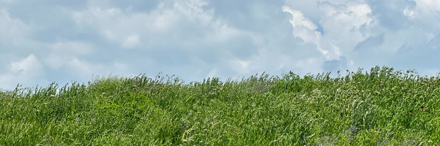 paigerkitchen's profile banner image