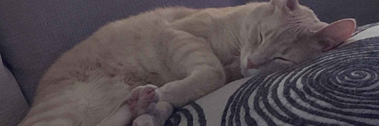 kyleekady's profile banner image
