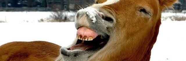 LongFaceLarry's profile banner image