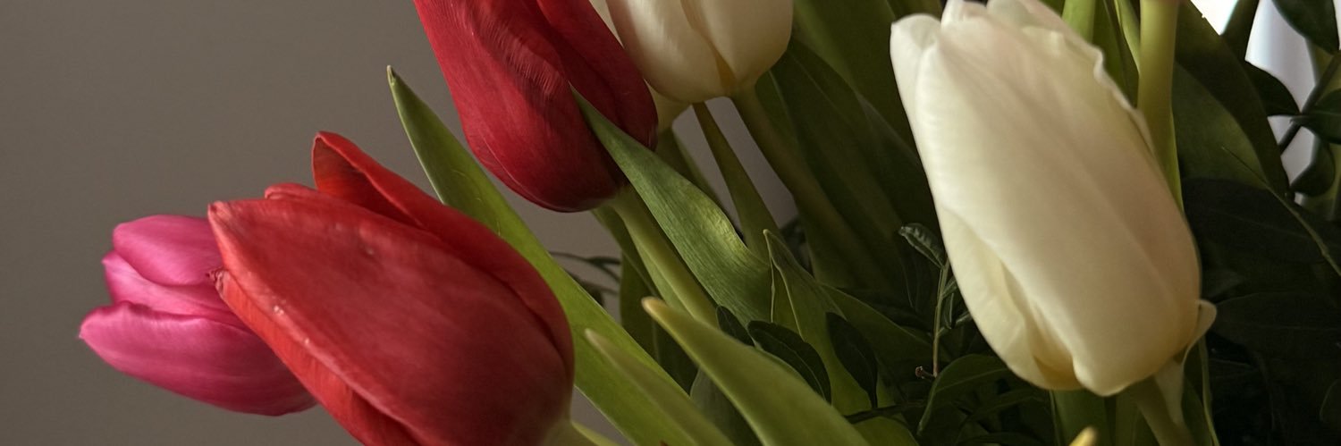 Hyraeith's profile banner image