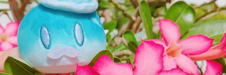Lestt_Identity5's profile banner image