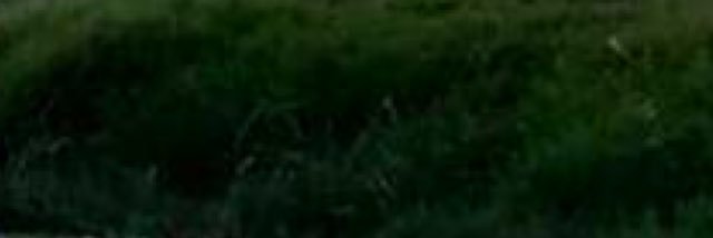 Barrrrrsa1's profile banner image