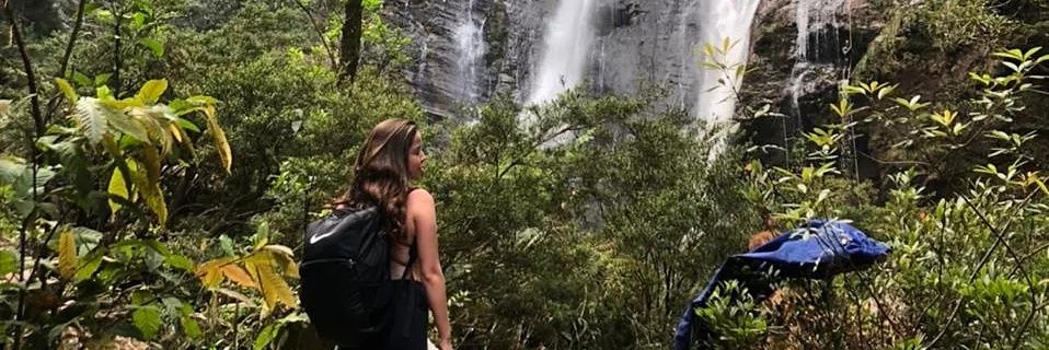 fernandaviegass's profile banner image