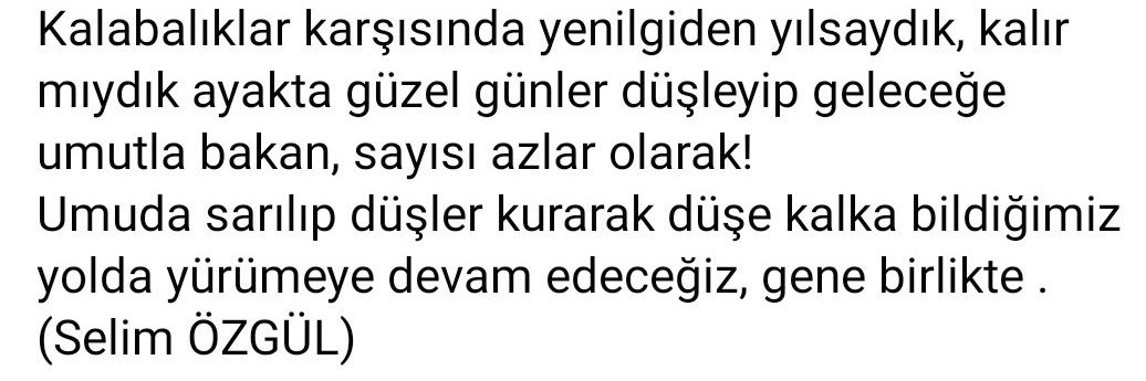 Aysel_Uzer's profile banner image