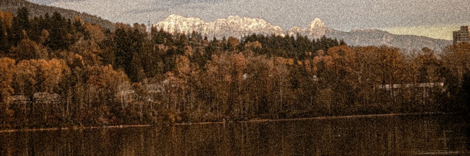 Frau_Wallace's profile banner image