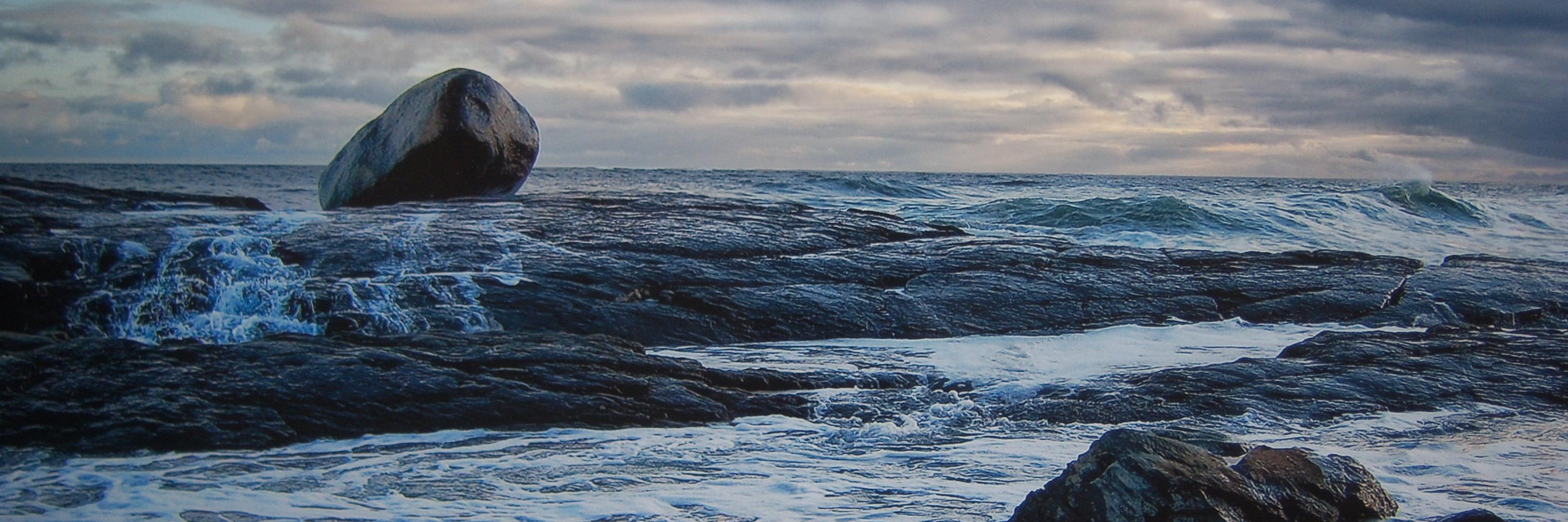 msstewardson's profile banner image