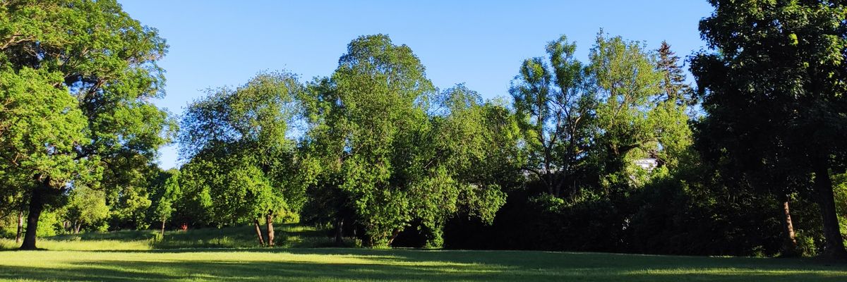CarlosCroma's profile banner image